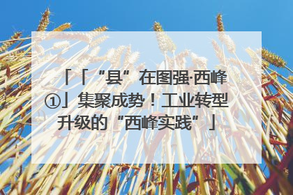 「“县”在图强·西峰①」集聚成势！工业转型升级的“西峰实践”