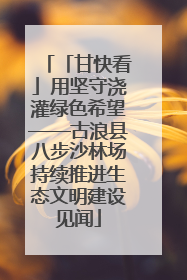 「甘快看」用坚守浇灌绿色希望——古浪县八步沙林场持续推进生态文明建设见闻