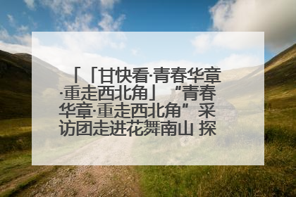 「甘快看·青春华章·重走西北角」“青春华章·重走西北角”采访团走进花舞南山 探寻天水乡村振兴之路