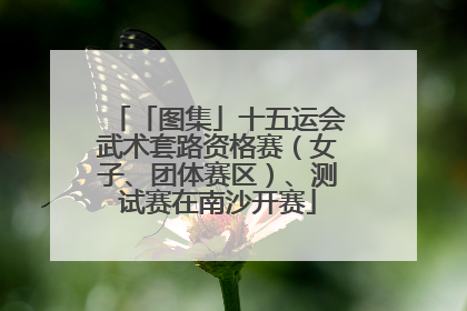 「图集」十五运会武术套路资格赛（女子、团体赛区）、测试赛在南沙开赛