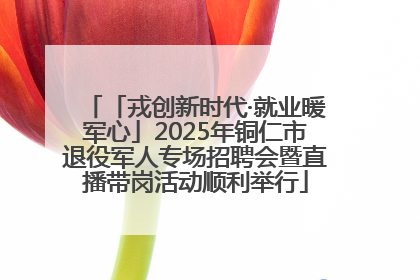 「戎创新时代·就业暖军心」2025年铜仁市退役军人专场招聘会暨直播带岗活动顺利举行