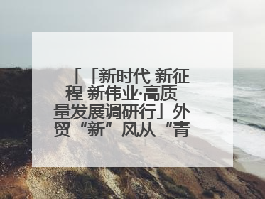 「新时代 新征程 新伟业·高质量发展调研行」外贸“新”风从“青”来 “双向奔赴”启新程