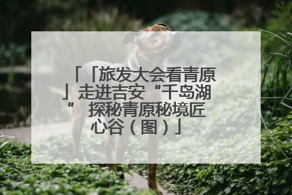 「旅发大会看青原」走进吉安“千岛湖” 探秘青原秘境匠心谷（图）