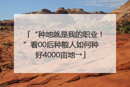 “种地就是我的职业！”看00后种粮人如何种好4000亩地→
