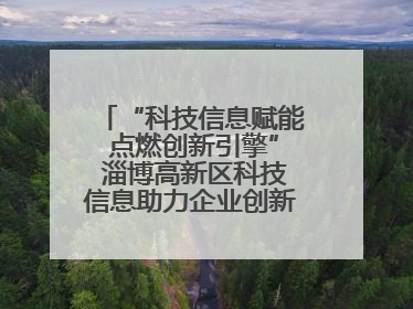 “科技信息赋能 点燃创新引擎” 淄博高新区科技信息助力企业创新发展培训会举办