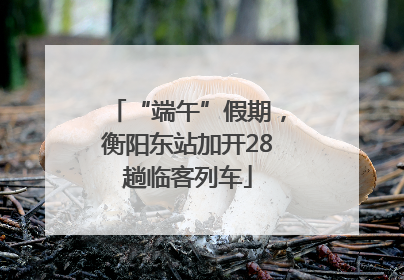 “端午”假期，衡阳东站加开28趟临客列车