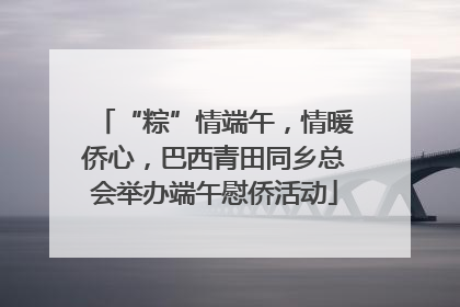 “粽”情端午，情暖侨心，巴西青田同乡总会举办端午慰侨活动