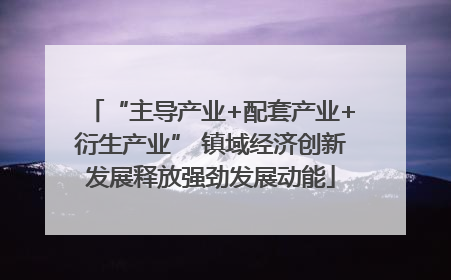 “主导产业+配套产业+衍生产业” 镇域经济创新发展释放强劲发展动能