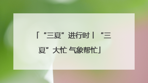 “三夏”进行时丨“三夏”大忙 气象帮忙