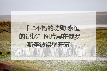 “不朽的功勋 永恒的记忆”图片展在俄罗斯圣彼得堡开幕