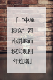 “中原粮仓”河南耕地面积实现四年连增