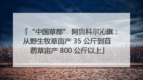 “中国草都” 阿鲁科尔沁旗：从野生牧草亩产 35 公斤到苜蓿草亩产 800 公斤以上