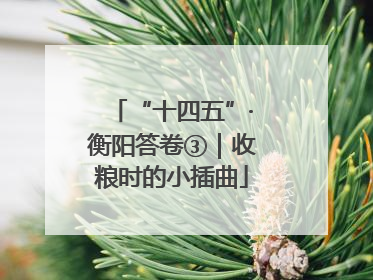 “十四五”·衡阳答卷③｜收粮时的小插曲