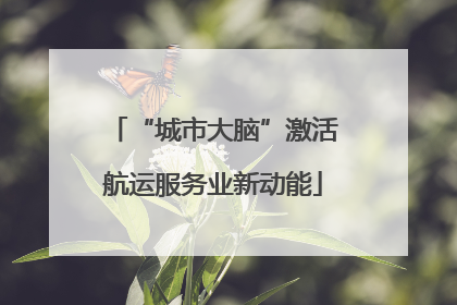 “城市大脑”激活航运服务业新动能
