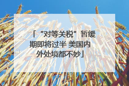 “对等关税”暂缓期即将过半 美国内外处境都不妙