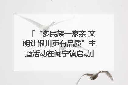 “多民族一家亲 文明让银川更有品质”主题活动在闽宁镇启动
