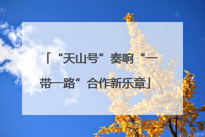“天山号”奏响“一带一路”合作新乐章