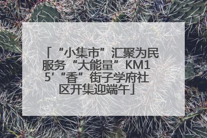 “小集市”汇聚为民服务“大能量”KM15′“香”街子学府社区开集迎端午
