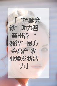 “把脉会诊”助力智慧田管 “数智”良方夺高产 农业焕发新活力