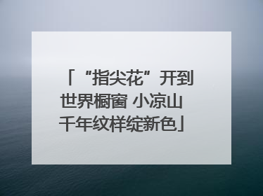 “指尖花”开到世界橱窗 小凉山千年纹样绽新色
