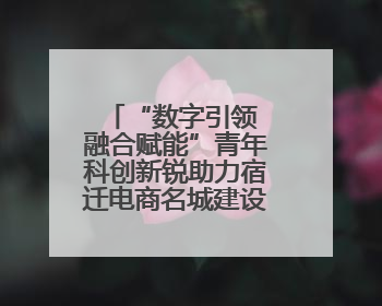 “数字引领 融合赋能”青年科创新锐助力宿迁电商名城建设活动成功举办