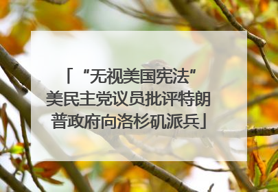 “无视美国宪法” 美民主党议员批评特朗普政府向洛杉矶派兵
