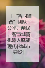 “智同道合”团队：公平、亲民、智慧城管机器人赋能现代化城市建设