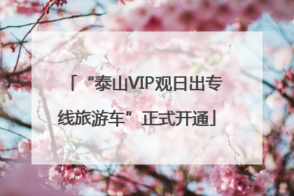 “泰山VIP观日出专线旅游车”正式开通