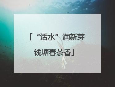 “活水”润新芽 钱塘春茶香