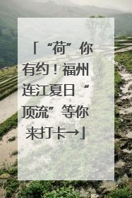 “荷”你有约！福州连江夏日“顶流”等你来打卡→