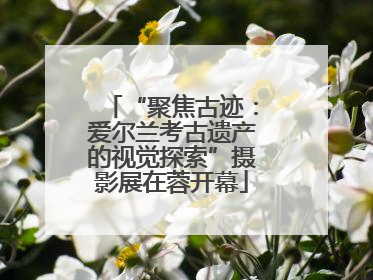 “聚焦古迹：爱尔兰考古遗产的视觉探索”摄影展在蓉开幕