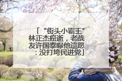 “街头小霸王”林正杰癌逝，老战友许国泰曝他遗愿：没打垮民进党