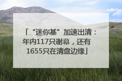 “迷你基”加速出清：年内117只谢幕，还有1655只在清盘边缘