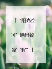 “阳光空间”晒出致富“籽”