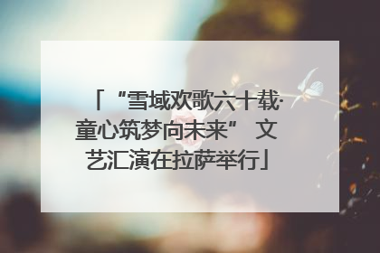 “雪域欢歌六十载·童心筑梦向未来” 文艺汇演在拉萨举行
