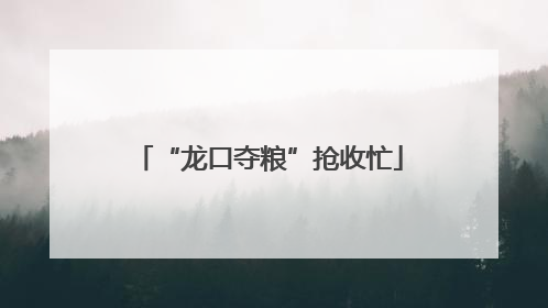 “龙口夺粮”抢收忙