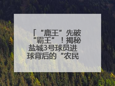“鹿王”先破“霸王”！揭秘盐城3号球员进球背后的“农民街游侠”联盟