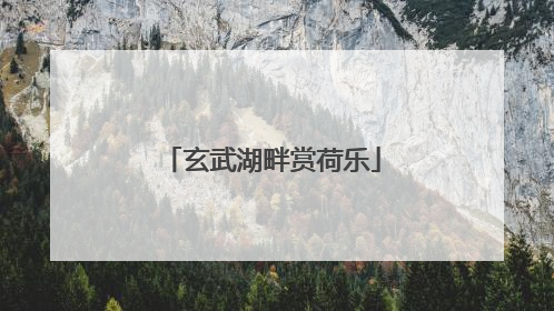玄武湖畔赏荷乐