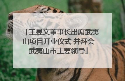王昱文董事长出席武夷山项目开业仪式 并拜会武夷山市主要领导