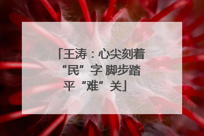 王涛：心尖刻着“民”字 脚步踏平“难”关