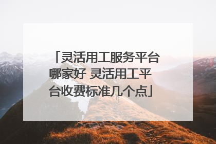 灵活用工服务平台哪家好 灵活用工平台收费标准几个点
