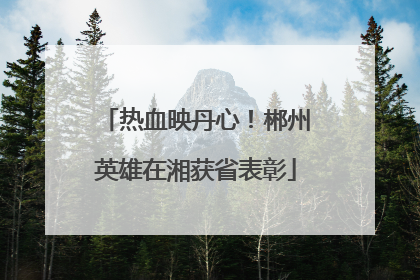 热血映丹心！郴州英雄在湘获省表彰