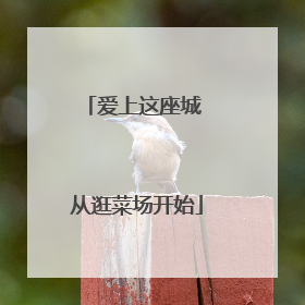 爱上这座城 从逛菜场开始