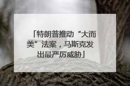 特朗普推动“大而美”法案，马斯克发出最严厉威胁