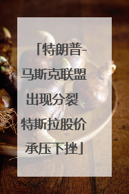 特朗普-马斯克联盟出现分裂 特斯拉股价承压下挫