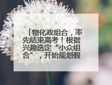 物化政组合，率先结束高考！根据兴趣选定“小众组合”，开始规划假期生活