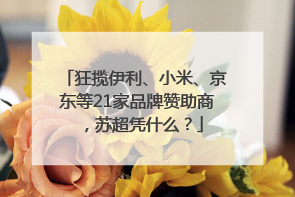狂揽伊利、小米、京东等21家品牌赞助商，苏超凭什么？