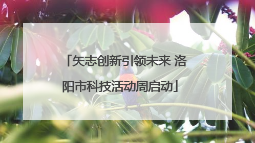 矢志创新引领未来 洛阳市科技活动周启动