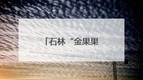 石林“金果果”绘就乡村振兴共富图景