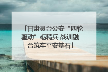 甘肃灵台公安“四轮驱动”砺精兵 战训融合筑牢平安基石